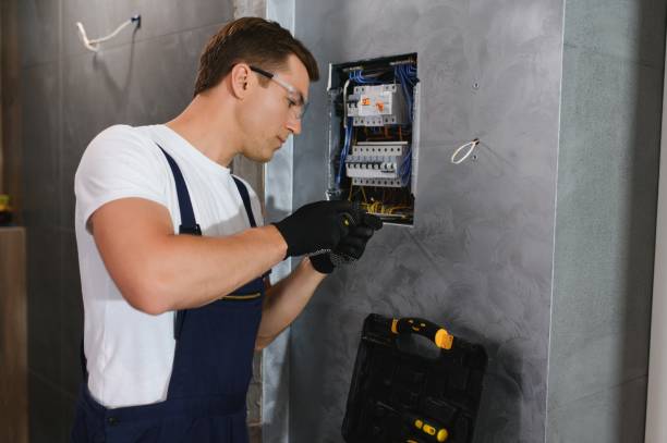 Best Electric Panel Repair  in Ak Chin Village, AZ
